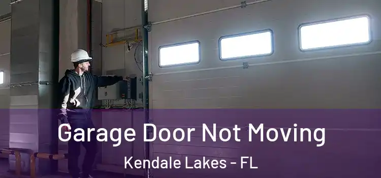  Garage Door Not Moving Kendale Lakes - FL
