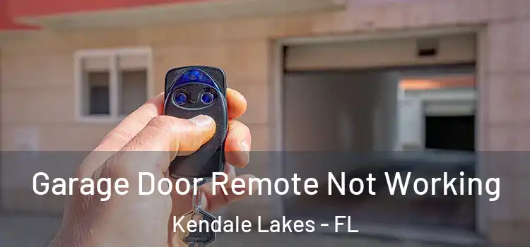  Garage Door Remote Not Working Kendale Lakes - FL