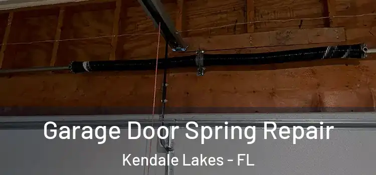  Garage Door Spring Repair Kendale Lakes - FL