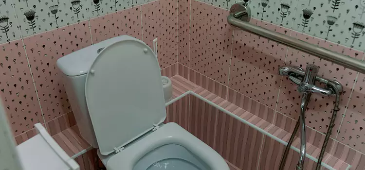 Meeting Diverse Needs With Accessible Restroom Solutions in Kendale Lakes, FL